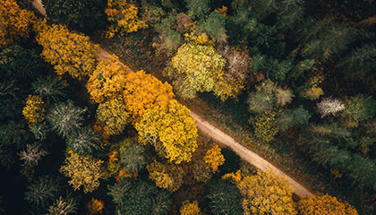 Route et arbres pour impact écologique des produits de Fresh&amp;Clean66